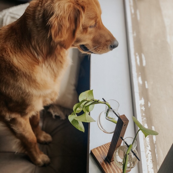 MEET YOUR POSHER - Picture 12 of 16